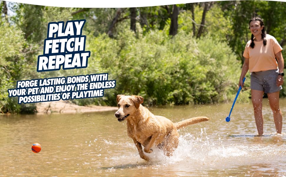 Chuckit! photo 10